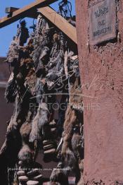 Image du Maroc Professionnelle de  Dans cette ancienne rue de la Rahba des Attarines (épiciers) au souk Semmarine de Marrakech, on trouve une multitudes d’épices ainsi que d’autres produits que l’on utilise pour la décoration des plats ou des paniers pour les grandes fêtes. Ce qui est insolite c'est que l'on y trouve aussi des objets bizarres qui sont destinés à la sorcellerie et à l’envoûtement, le Dimanche 21 Décembre 1986. (Photo / Abdeljalil Bounhar)